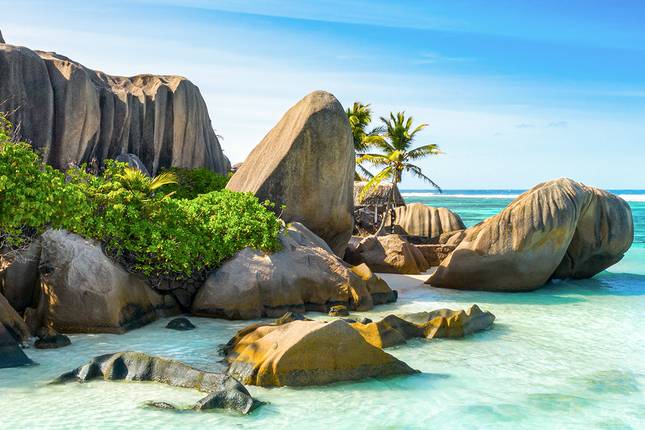 Safari, The Seychelles and Indian Ocean 2028 - 21 Days