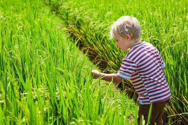 Vietnam Family Adventure