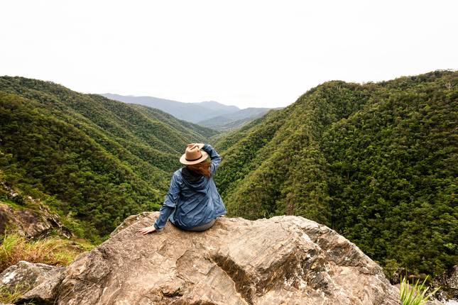 Australian Vanlife: East Coast , Waves & Wildlife