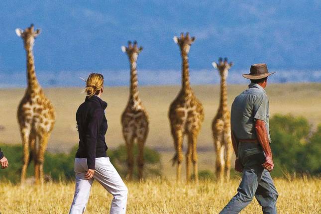 Victoria Falls & Kenyan Discovery