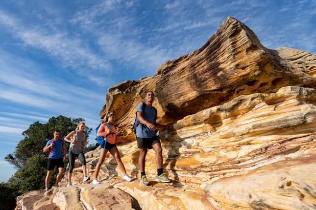 Australia and New Zealand Panorama (With Internal Air, 2025/2026)