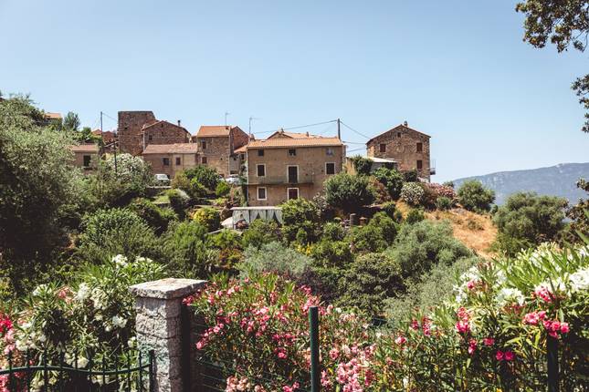Corsica Unchained: Where Cliffs Meet the Tide