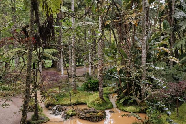 The beauty of the São Miguel Lakes