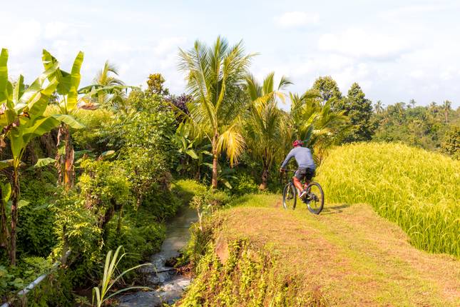 Indonesiens Highlights erleben (16 Tage)