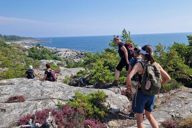 Stockholm's archipelago in 11 Days