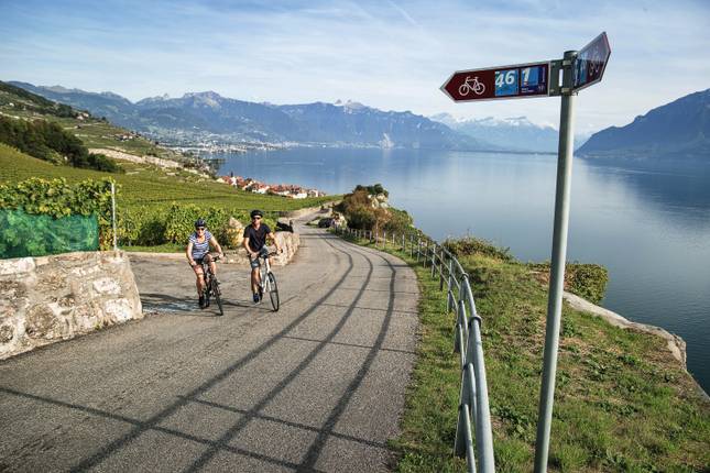 Lake Geneva round trip - 7 Days