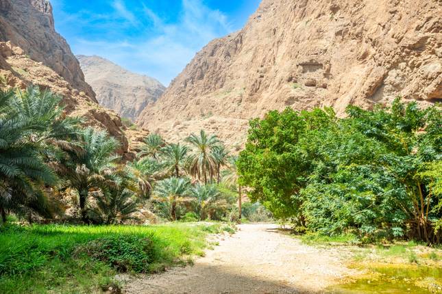 Oman für Singles und Alleinreisende (8 Tage)