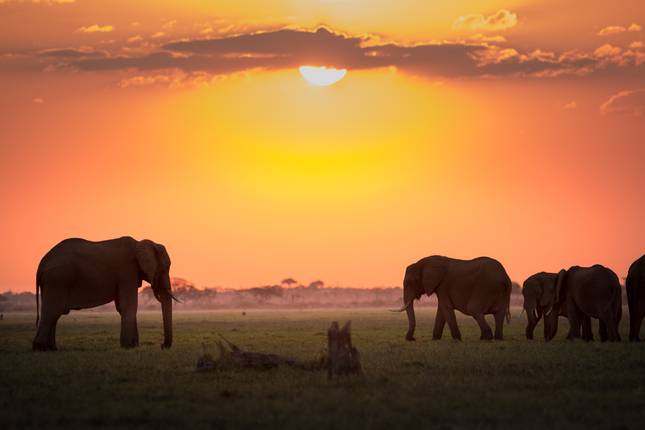 Geluxe: Southern Africa: Kruger, Victoria Falls & Zimbabwe National Parks