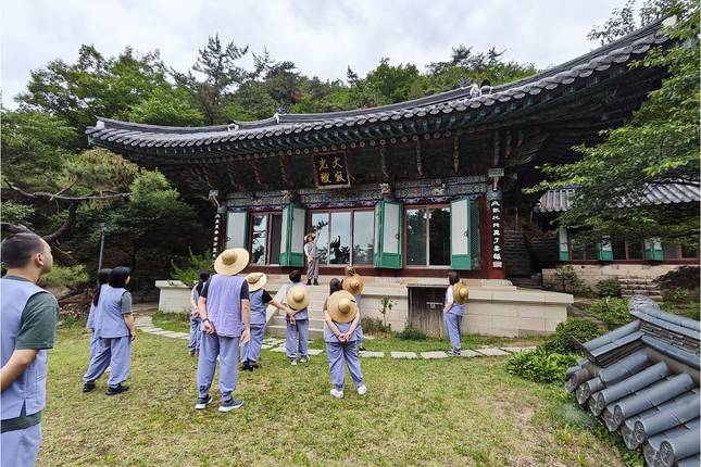 Seoul In Depth & DMZ - 6 days