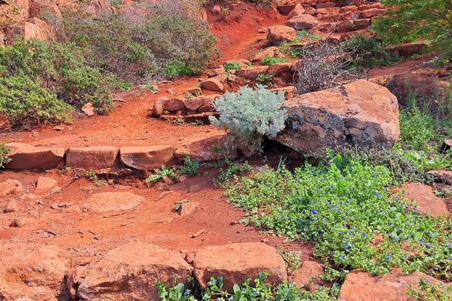 Tenerife: Island beyond the beaten path