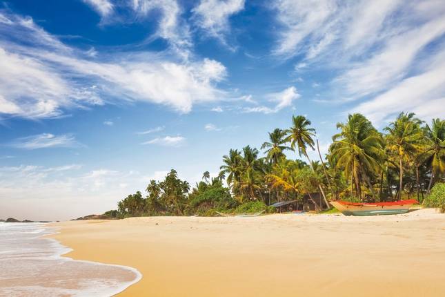 Sri Lanka fur Singles und Alleinreisende