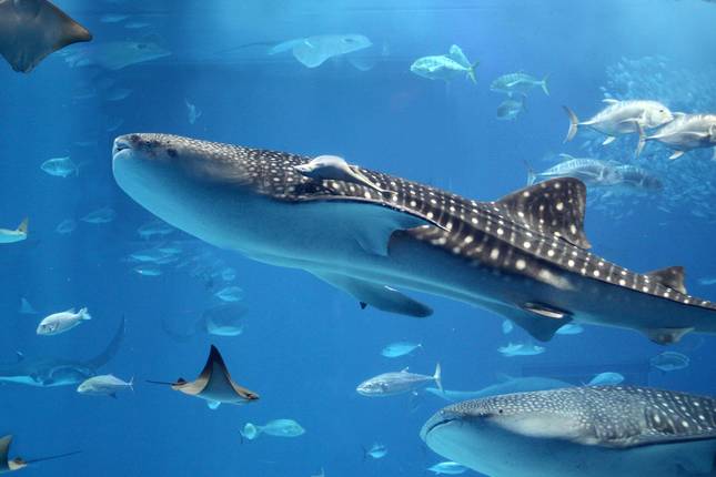 Perth to Exmouth Adventure - 6 days