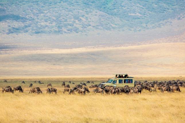 Kenya & Tanzania - the rhythm of the wilderness