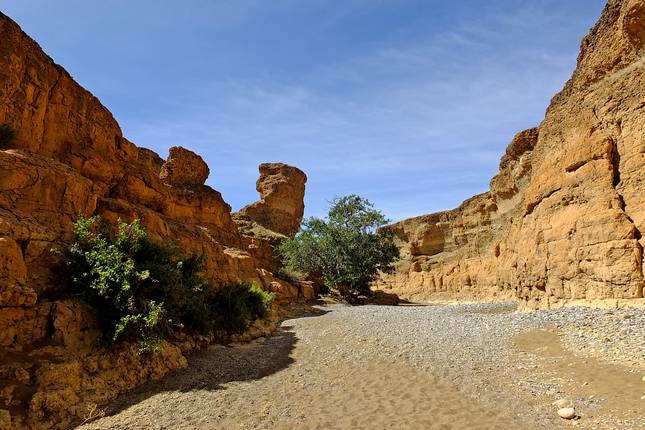 Africa Encompassed Northbound (59 destinations)