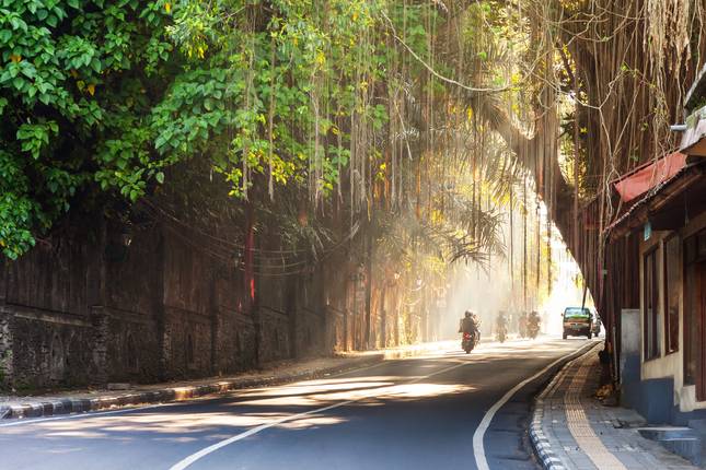 Kleingruppenrundreise & Baden – Java & Bali