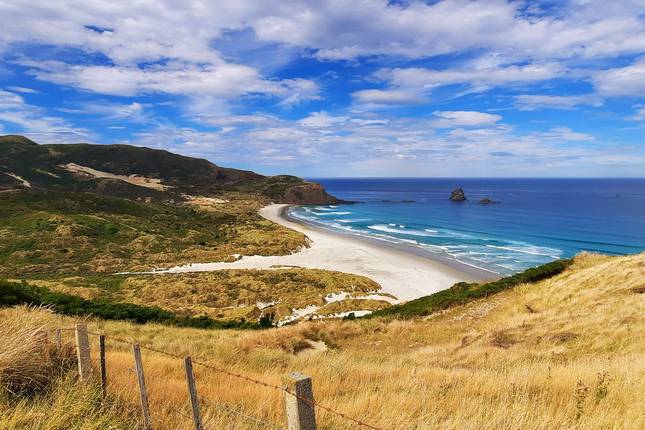 The Great Southern Road Trip