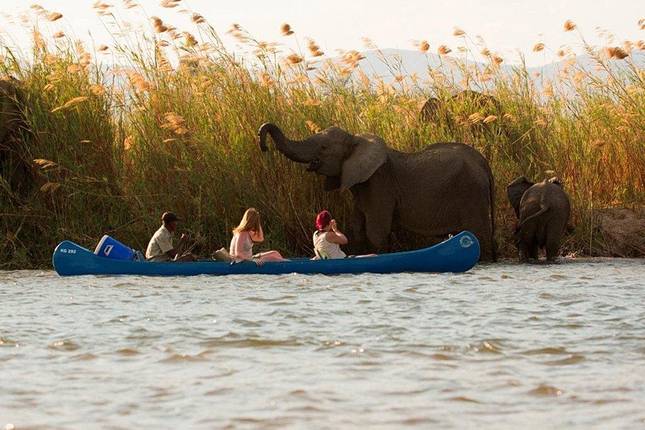 Zambezi Canoe Safari