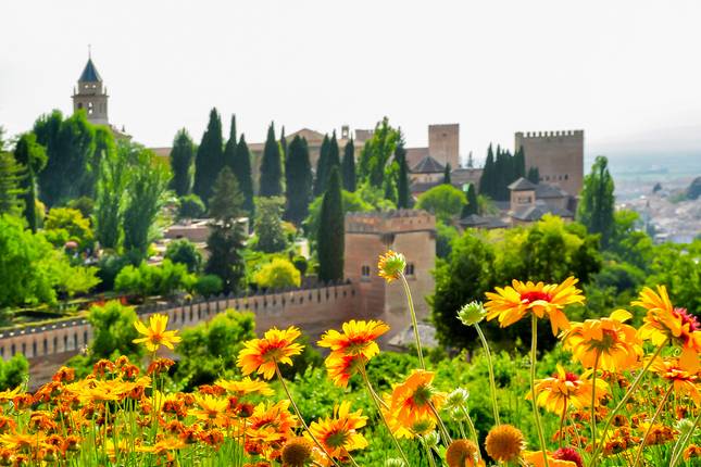 Lisbon to Morocco, Madrid & Porto - 13 days