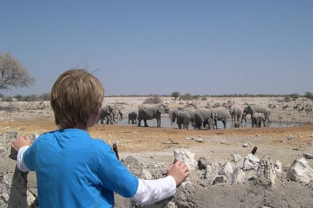 10 Best Namibia Tours & Trips 2025/2026 - TourRadar