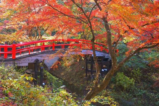 Japan´s Landscapes GO