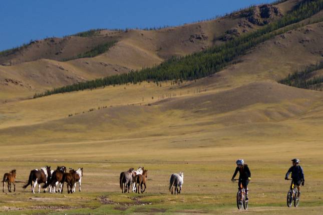Cycling in Mongolia