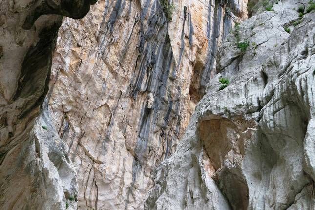 Walking in Sardinia