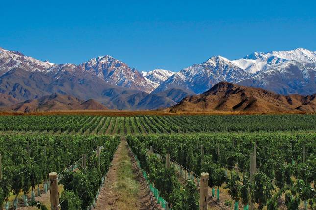 4-Day Mendoza Wine Region Experience