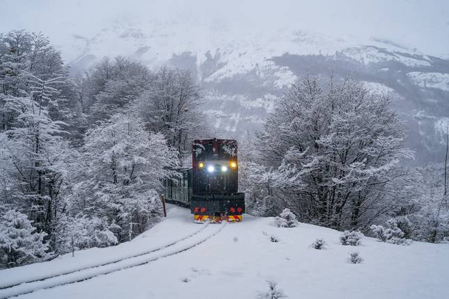 Wild Ushuaia: Where the World Ends