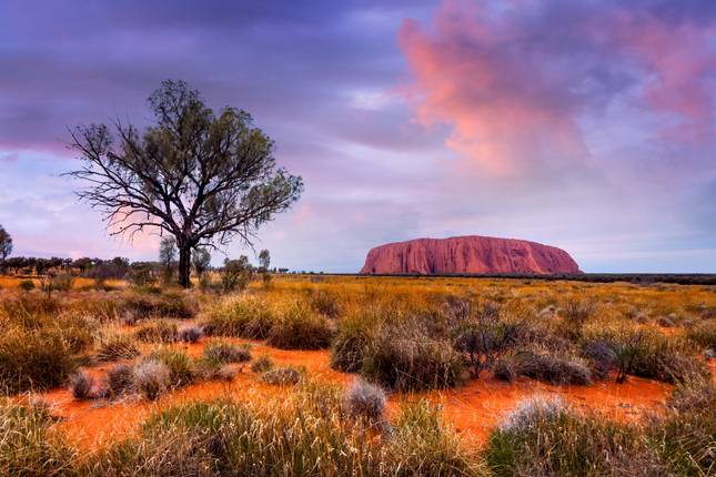 Uluru and Kata Tjuta Experience (Budget, Short Break)