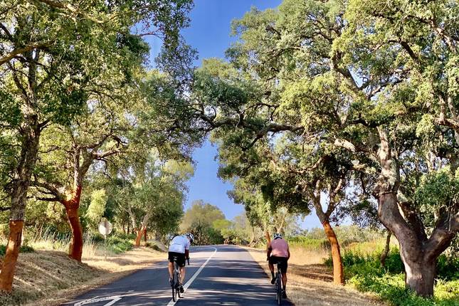 Rota Vicentina mit dem Rennrad (8 Tage)