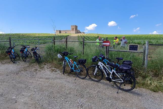 Alentejo Vineyards & Alqueva Lake Road 9 Days
