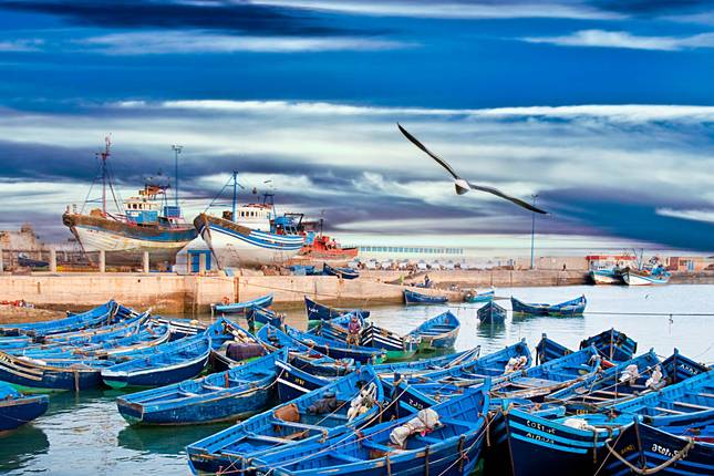 Vanuit Agadir : 7-daagse Ontdekkingsreis door Marokko voor het hele gezin: Agadir & Marrakech