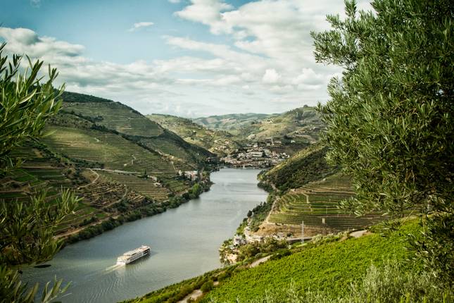 Douro & wildes Côa-Tal entdecken (8 Tage)