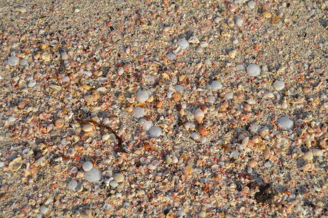 The Most Beautiful Beaches of Crete and the Samaria Gorge