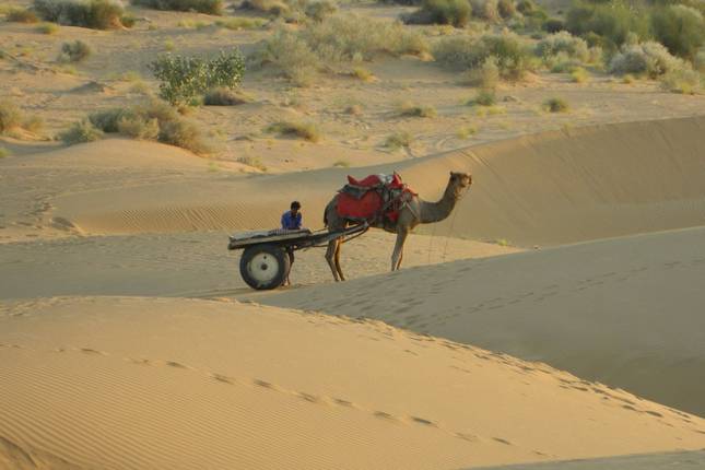 Rajasthan with Varanasi & Ranthambore