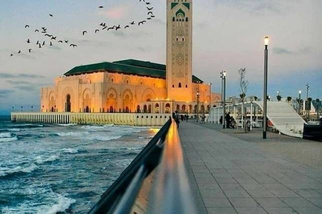 Z CASABLANKI DO MARRAKESZU: 7-dniowa wycieczka