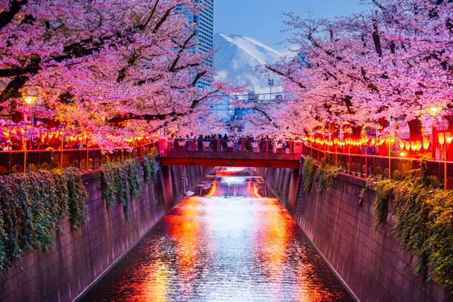 Discover Iconic Cities and Hidden Gems: Tokyo to Osaka