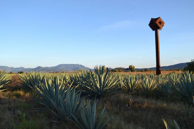 Mezcal Tour Mexico: Discover Atlixco, Local Food and Beverages Tour