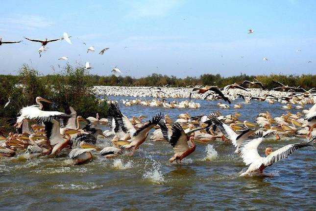 MAURITANIA & SENEGAL DISCOVERY -14 DAYS