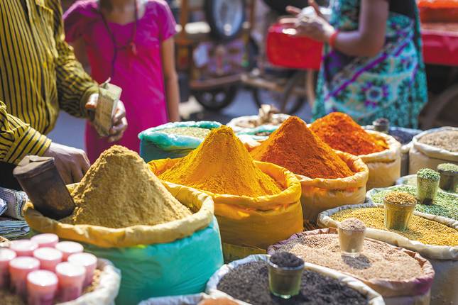 India Real Food Adventure (from Delhi to Goa)