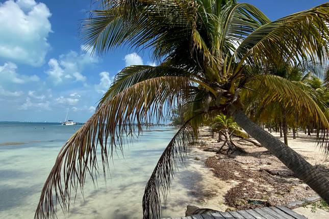 Discover the Magic of the Yucatán