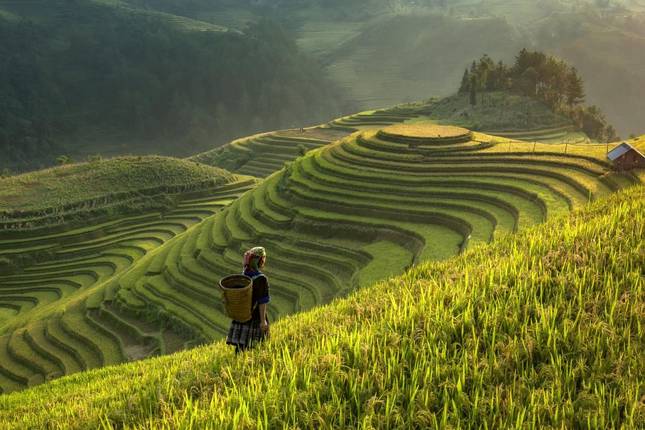 Sapa-Reisterrassen-Wanderung: Entdecken Sie die Kultur der Black Hmong und der Giay im Muong-Hoa-Tal