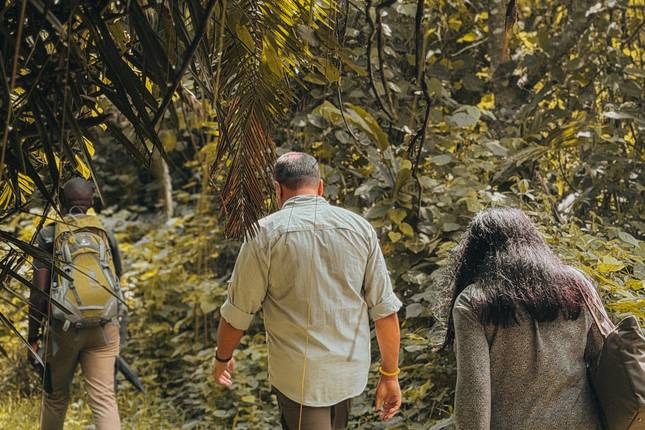 De ultieme reis door Oeganda: gorilla’s, chimpansees en de wilde savanne-rondreis
