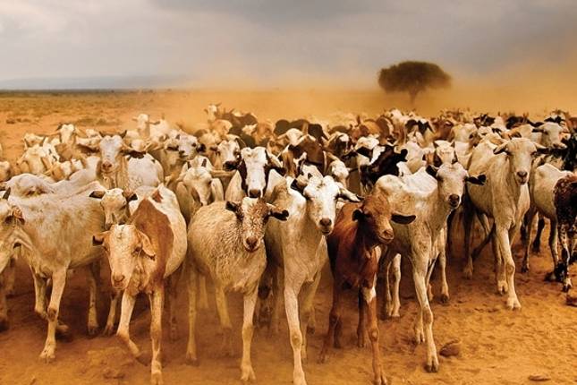 The Maasai Heartlands