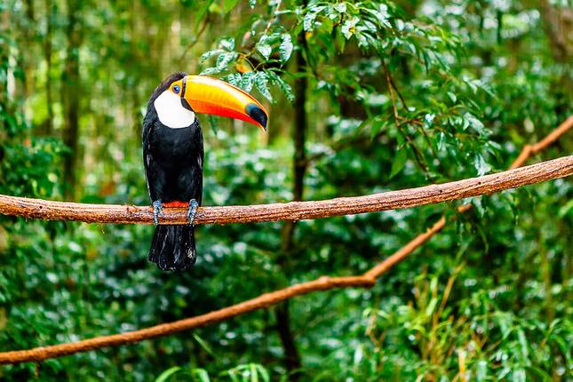 Peruvian Pathways (11 destinations)