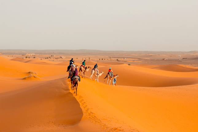 10 Best Morocco Tours & Trips 2022/2023 - TourRadar