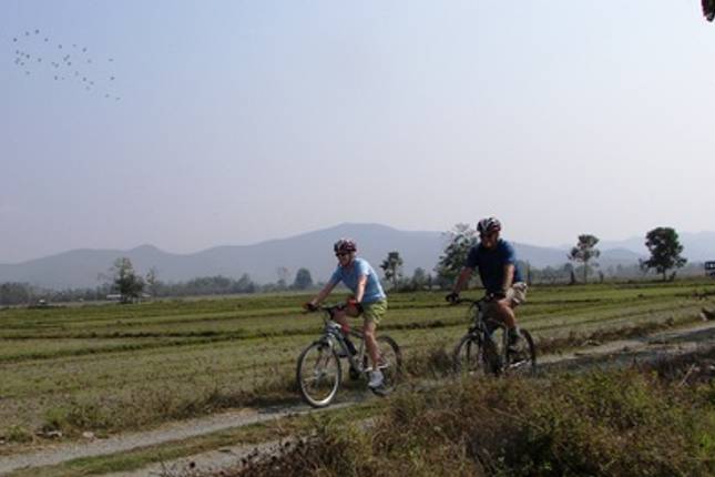 10 Best Bicycle Tours in Thailand - Biggest Selection, Best Prices ...