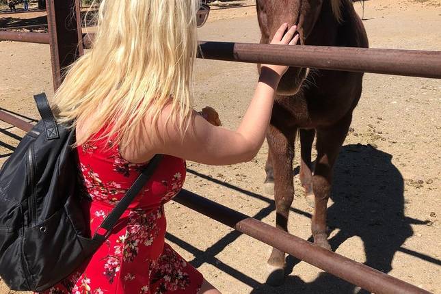 Rome to London Trail (Standard, Summer ( Until Mar '27), Age 18-22)