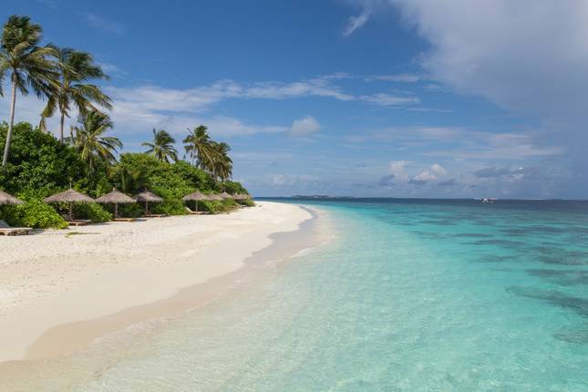 Top 10 Maldives Tours In February 2022 New Flexible Booking Tourradar