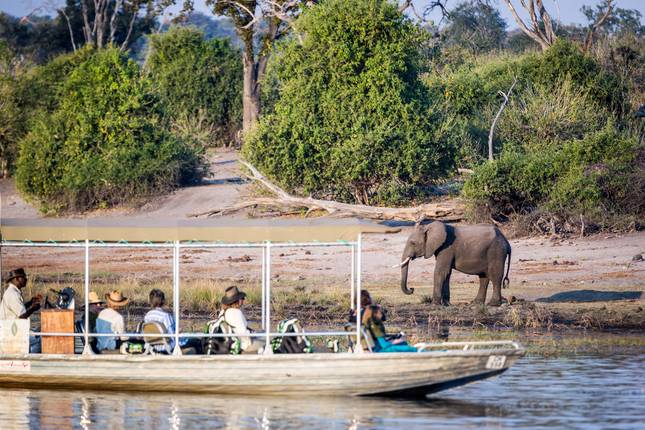 Botswana Family Safari with Teenagers